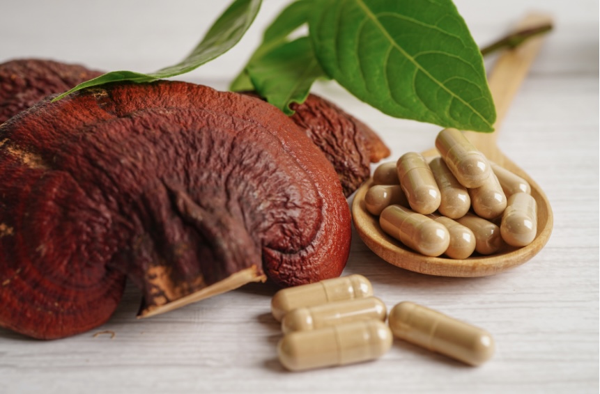 Reishi Mushroom Benefits How Can They Help? Whatsupp